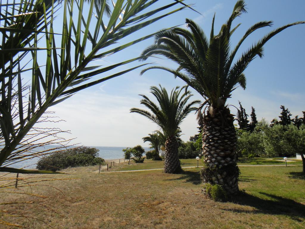 Afroditi Beach Gerakini Esterno foto