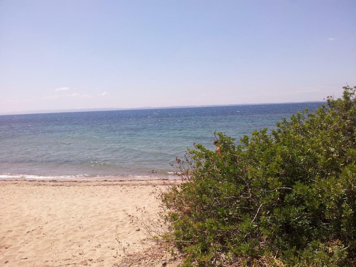 Afroditi Beach Gerakini Esterno foto